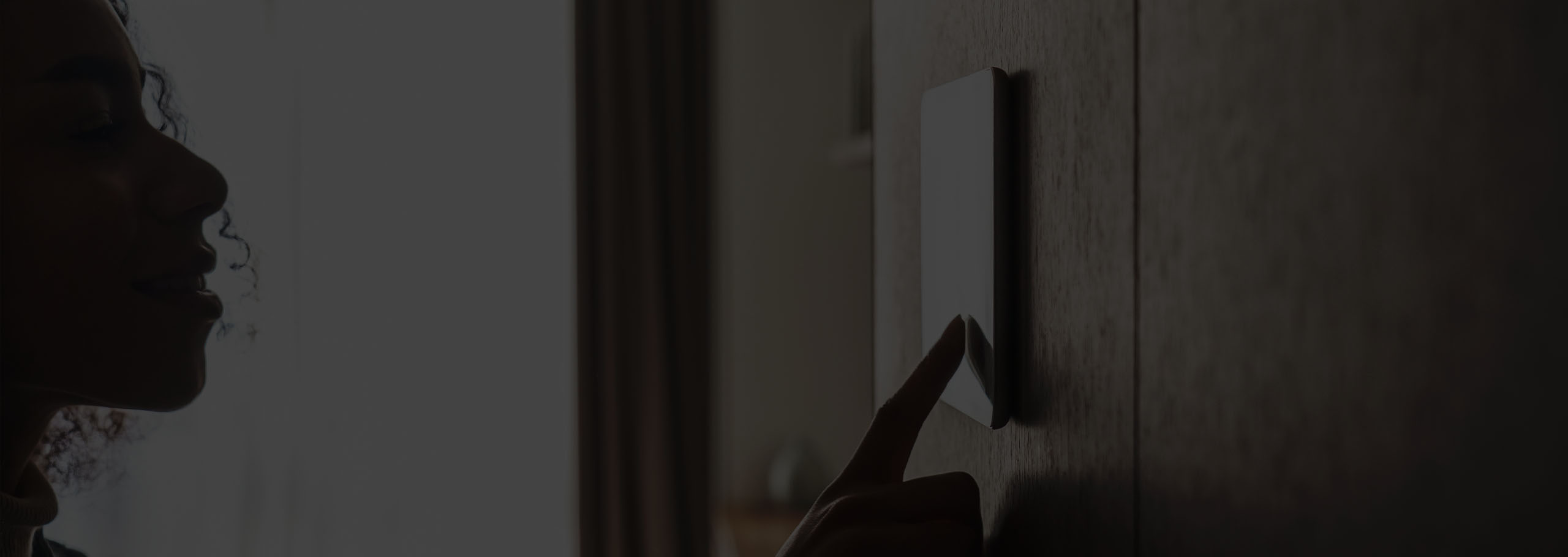 Security Systems - Person interacting with security panel